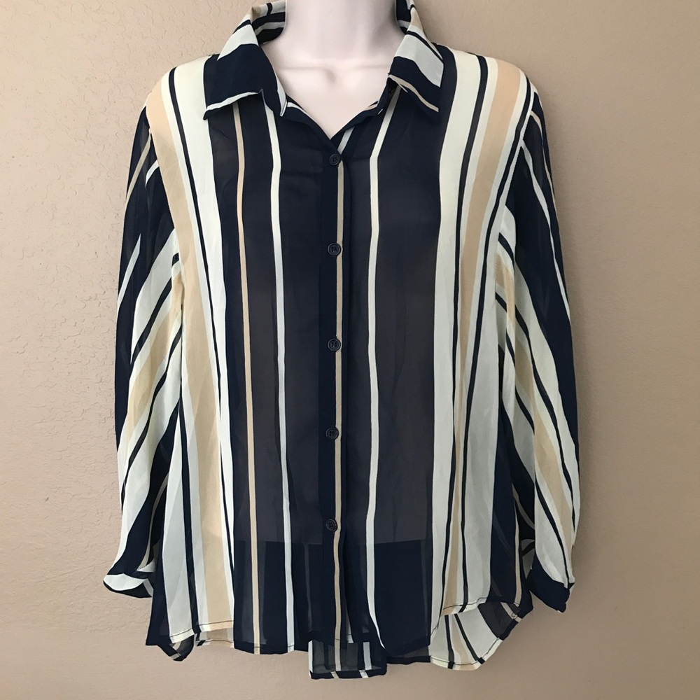Sans Souci Sheer Long Sleeve Blouse in Large